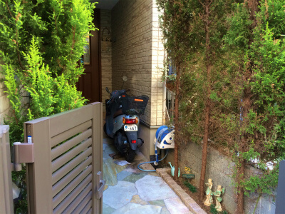 ゴールドクレスト撤去からレッドロビンの生垣へ施工前