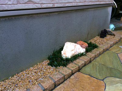 ゴールドクレスト撤去からレッドロビンの生垣へ