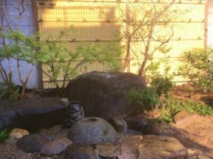 緑昇園の施工実績画像