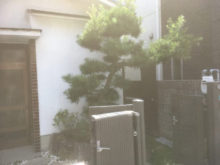 緑昇園の施工実績画像