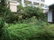 緑昇園の施工実績画像