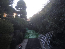 緑昇園の施工実績画像