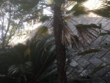 緑昇園の施工実績画像