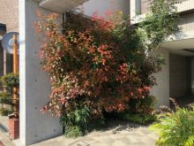 緑昇園の施工実績画像