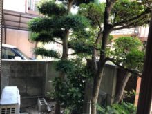 緑昇園の施工実績画像