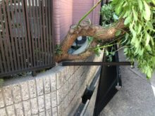 緑昇園の施工実績画像