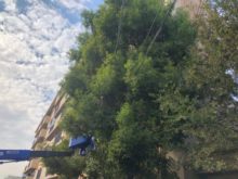 緑昇園の施工実績画像