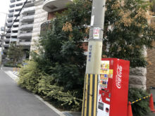 緑昇園の施工実績画像