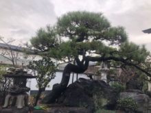 緑昇園の施工実績画像