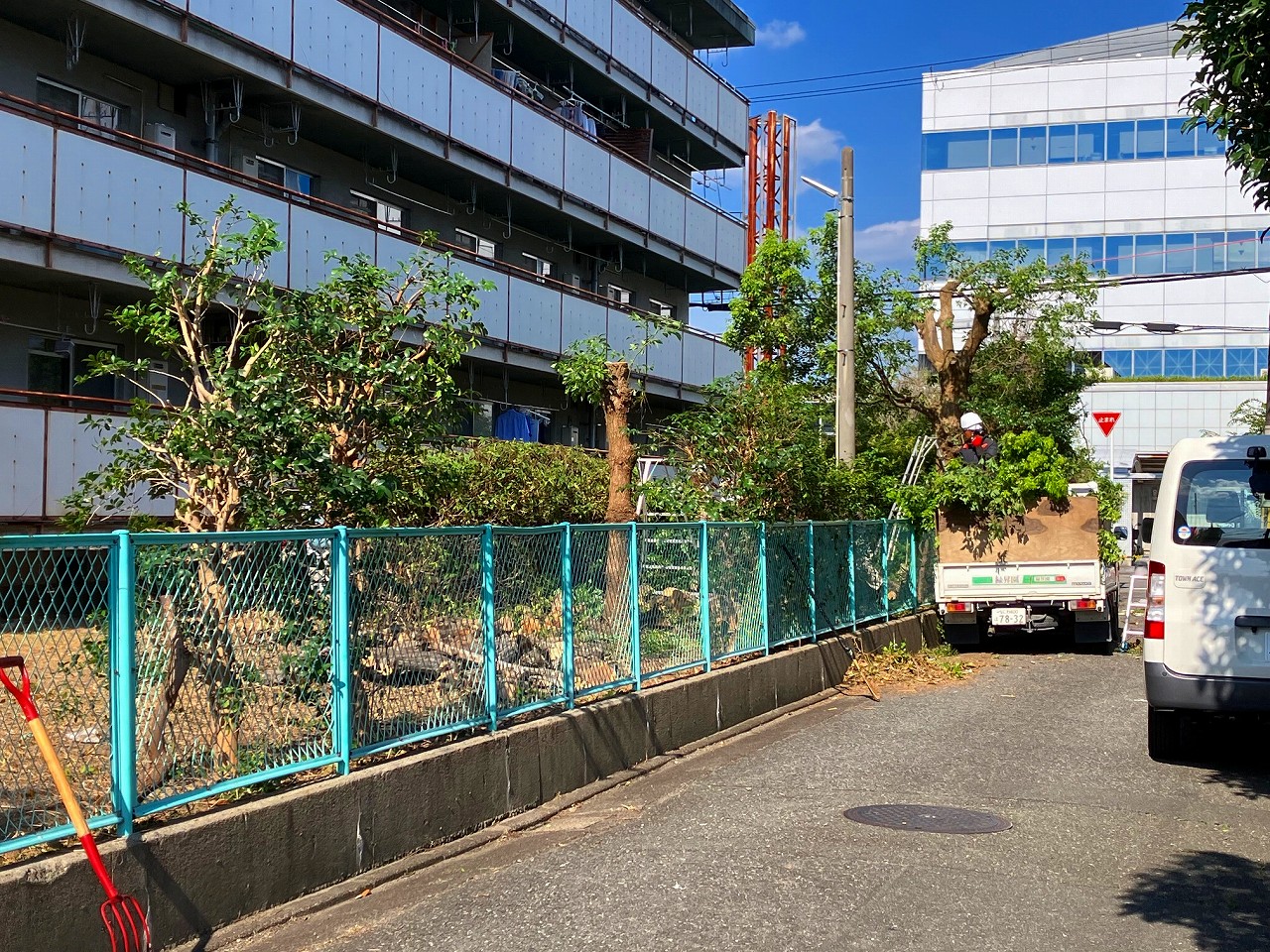 強剪定・除草　守口市　団地