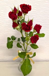 今年のクリスマスはの画像