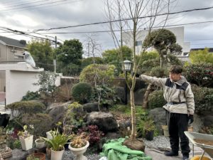 イロハモミジ植栽前の画像